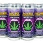 Beezwax-Terp-Seltzer-Indica-Purple-Punch